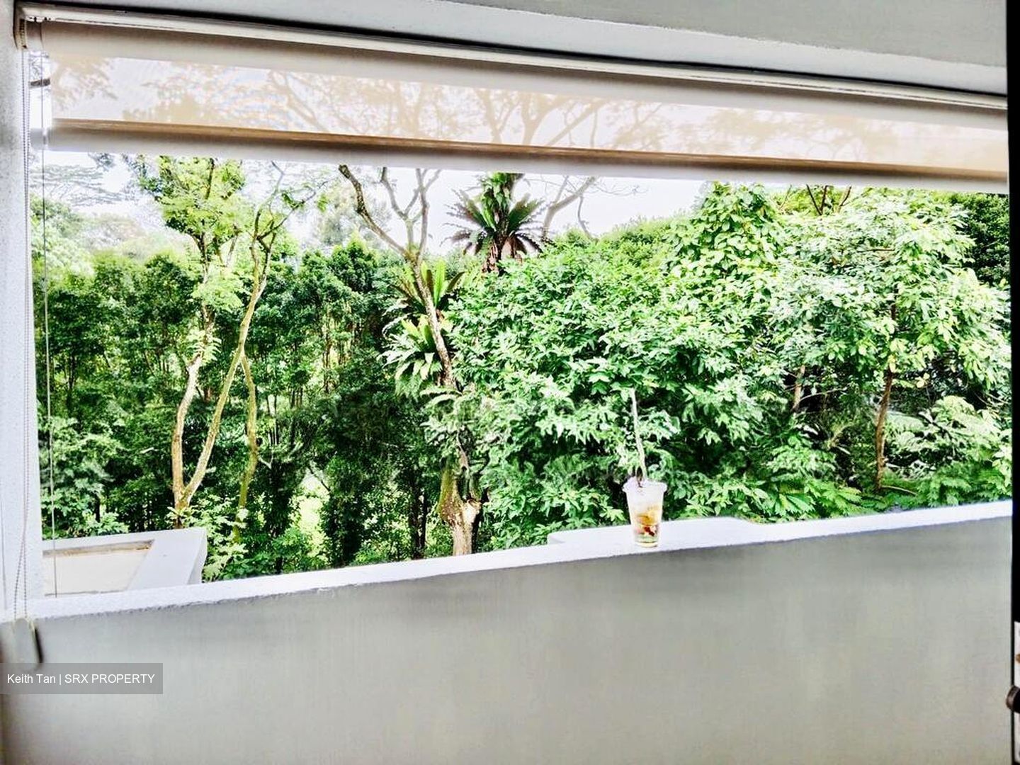 Signature Park (D21), Condominium #516923891